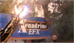 film11.jpg