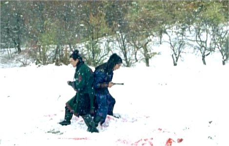 film71.jpg