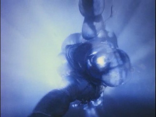 film1-4.jpg