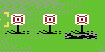 screen78.jpg