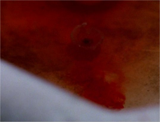 film49.jpg