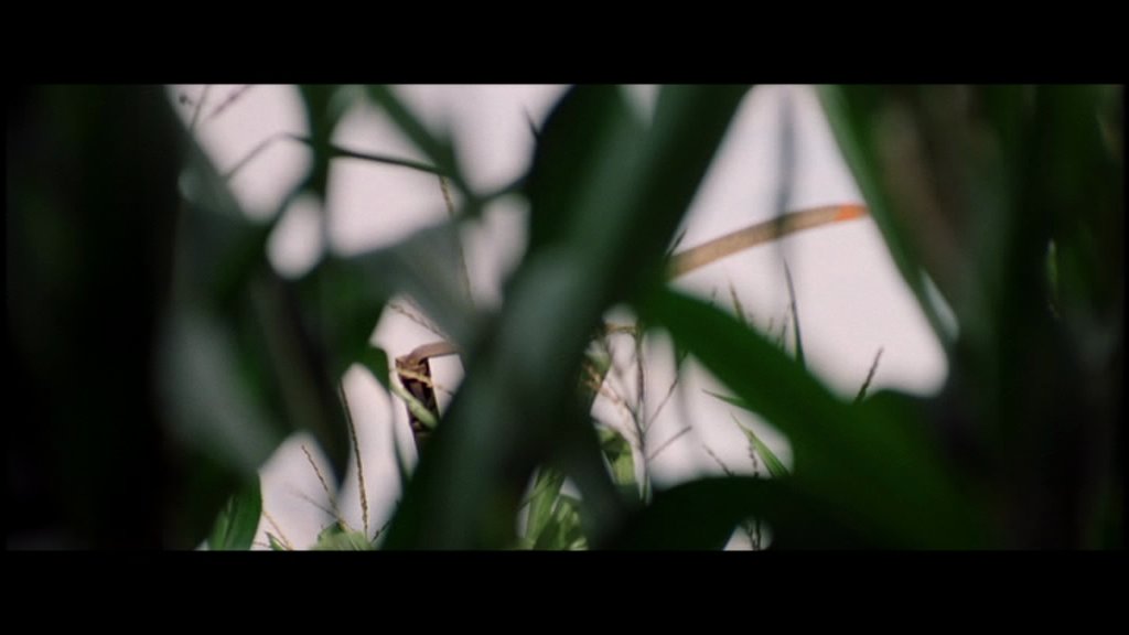 moviequiz67.jpg