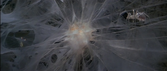 film89.jpg