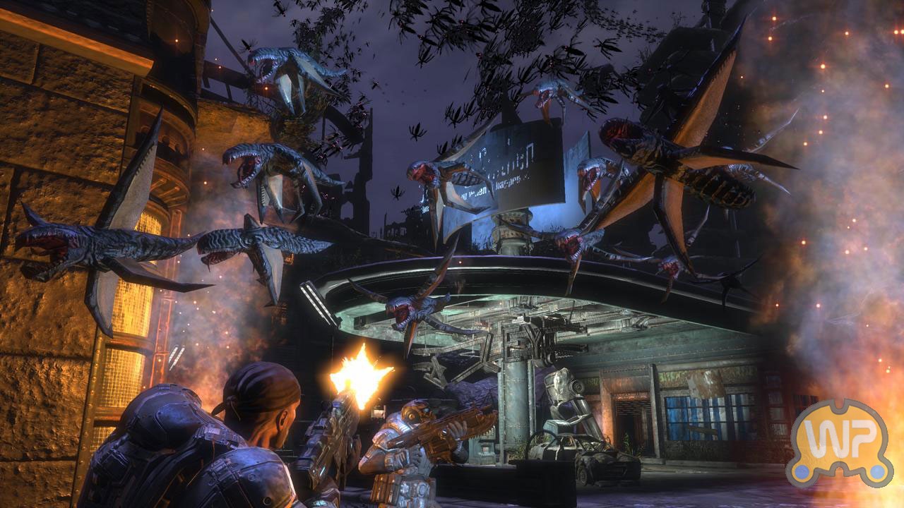 gow3.jpg