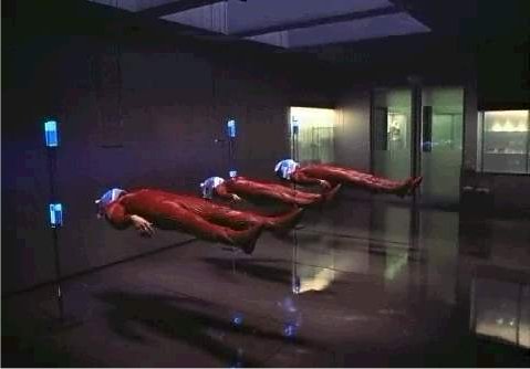 film2.jpg