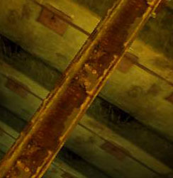 D_pic1.jpg
