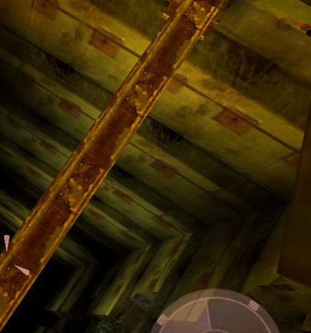 D_pic2.jpg