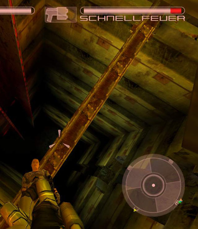 D_pic3.jpg